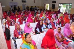 2nd-agm-img2