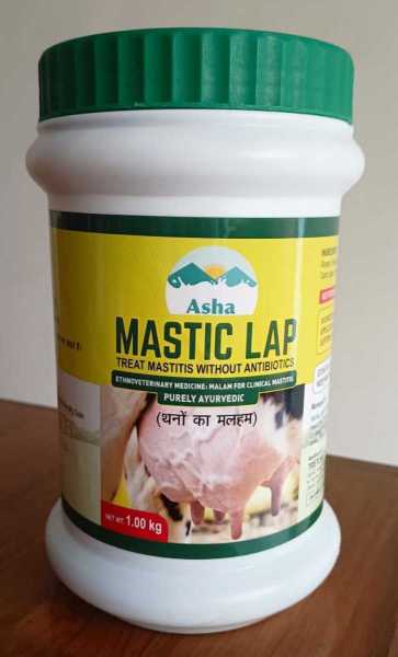 Asha-Mastic-Lap